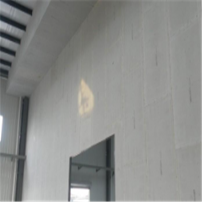 普安宁波ALC板|EPS加气板隔墙与混凝土整浇联接的实验研讨